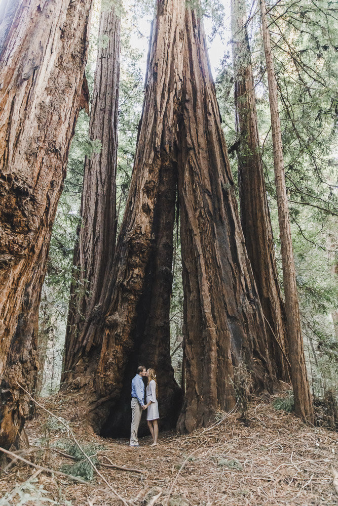 PPP_HENRY_COWELL_PARK_ENGAGEMENT_PHOTOS_23.jpg