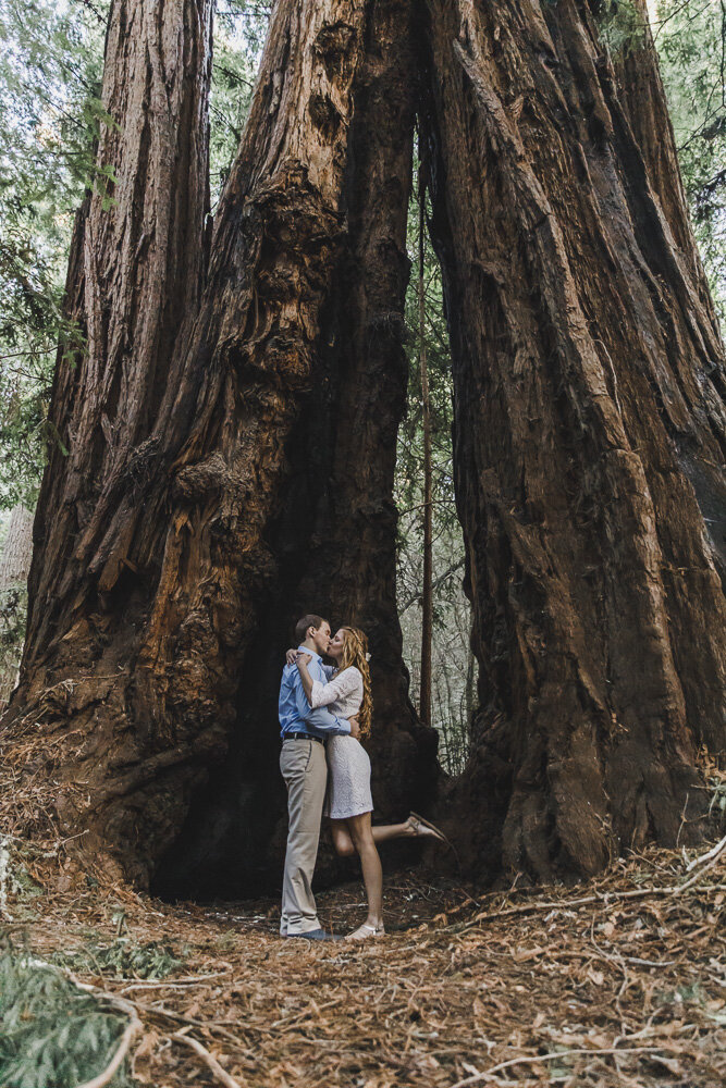 PPP_HENRY_COWELL_PARK_ENGAGEMENT_PHOTOS_24.jpg