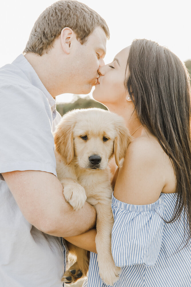 PPP_GOLDEN_RETRIEVER_PUPPY_ENGAGEMENT_PHOTOS_04.jpg