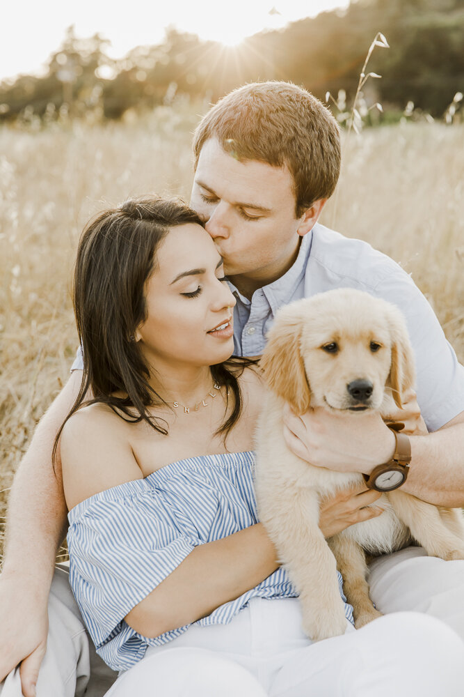 PPP_GOLDEN_RETRIEVER_PUPPY_ENGAGEMENT_PHOTOS_22.jpg