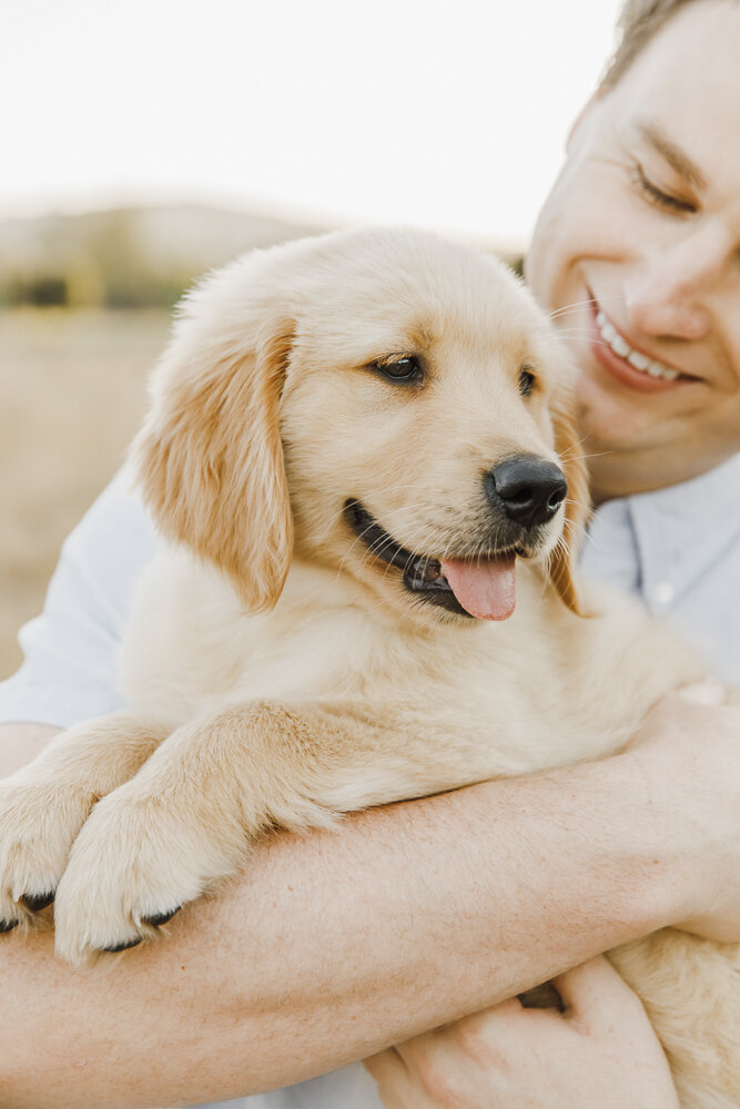 PPP_GOLDEN_RETRIEVER_PUPPY_ENGAGEMENT_PHOTOS_39.jpg