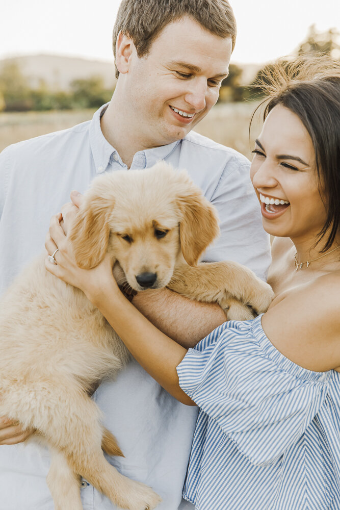 PPP_GOLDEN_RETRIEVER_PUPPY_ENGAGEMENT_PHOTOS_43.jpg