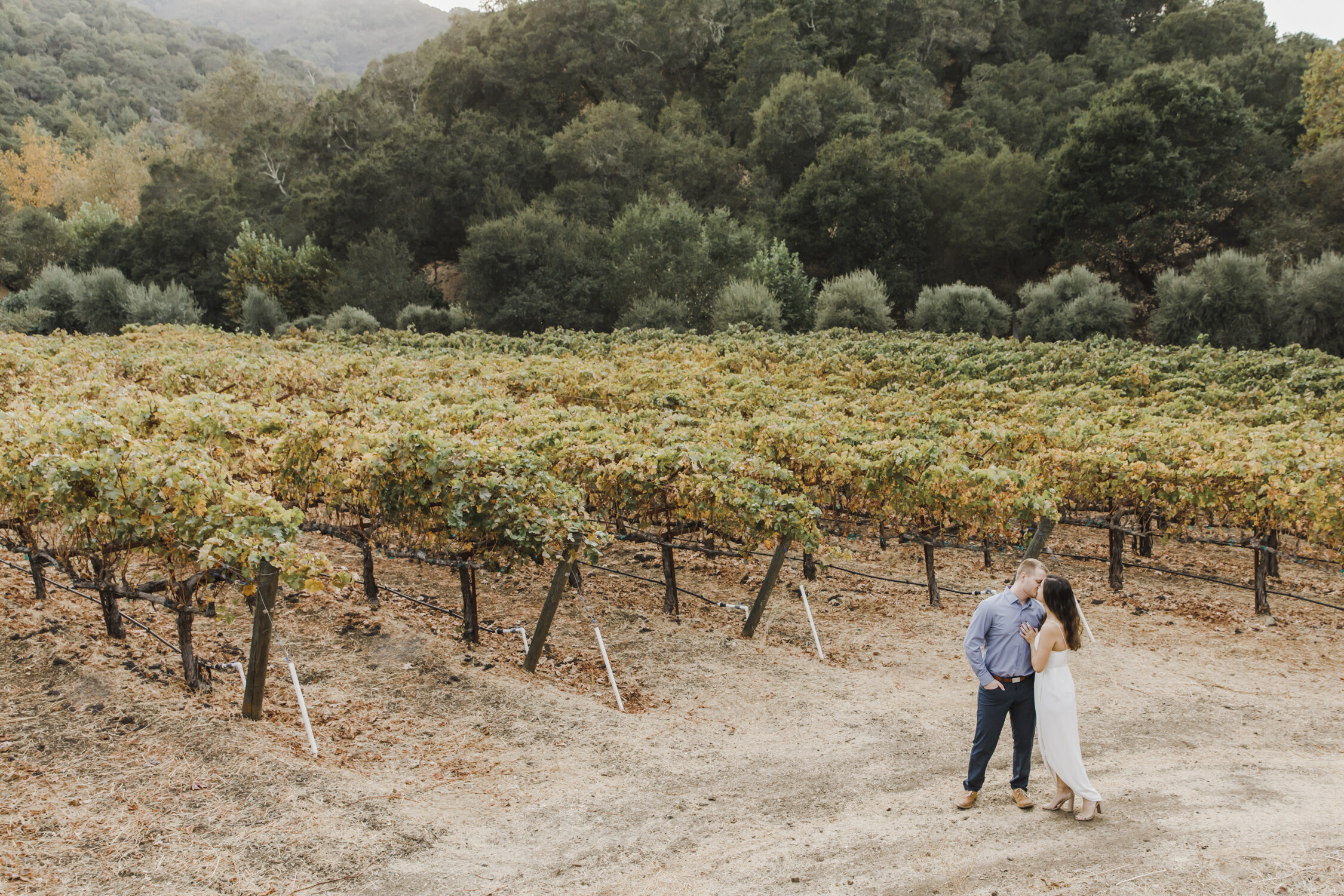 PERRUCCIPHOTO_FALL_WINERY_ENGAGEMENT_93.jpg