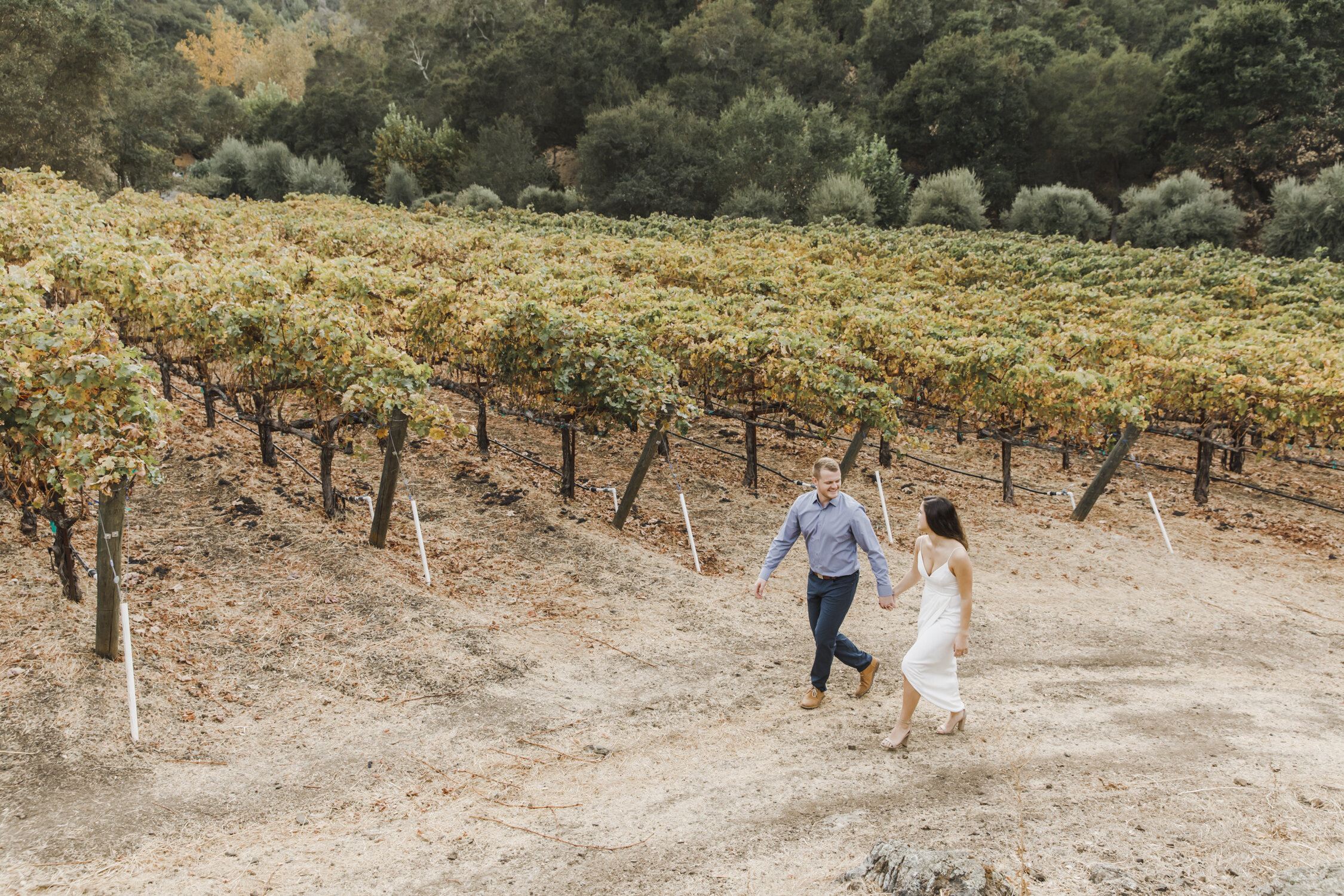 PERRUCCIPHOTO_FALL_WINERY_ENGAGEMENT_94.jpg