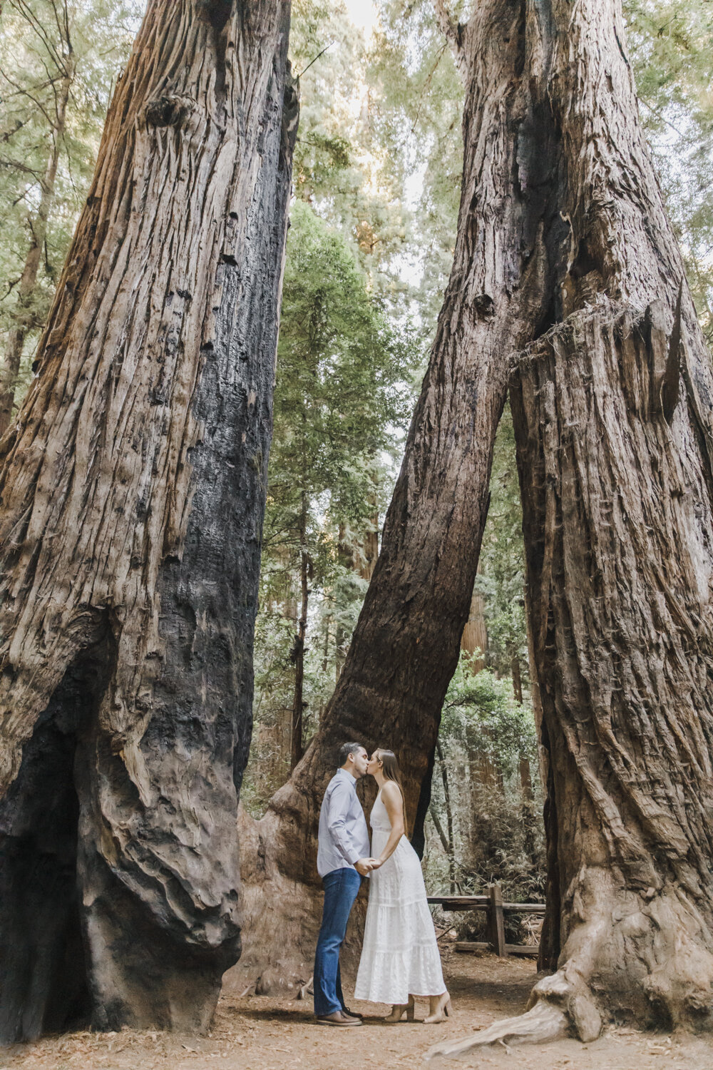 PERRUCCIPHOTO_HENRYCOWELL_ENGAGEMENT_09.jpg