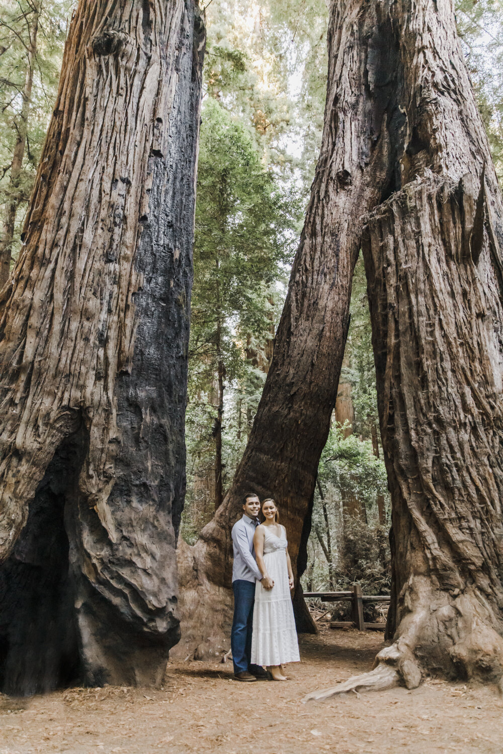 PERRUCCIPHOTO_HENRYCOWELL_ENGAGEMENT_11.jpg