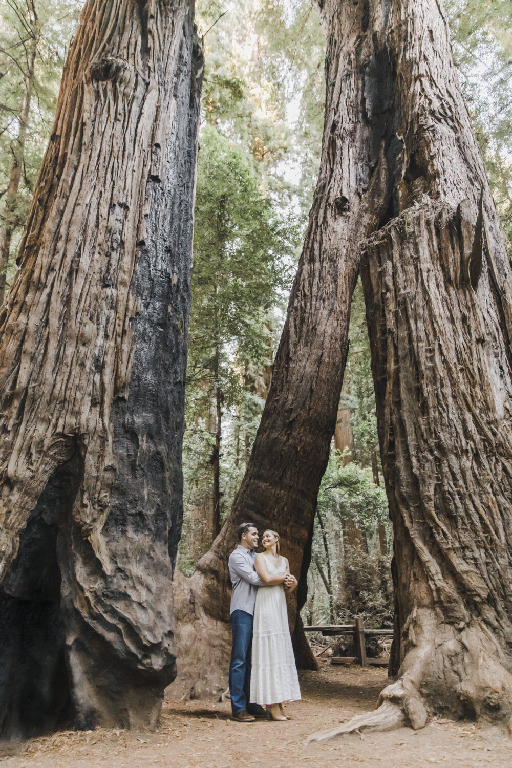 PERRUCCIPHOTO_HENRYCOWELL_ENGAGEMENT_12.jpg