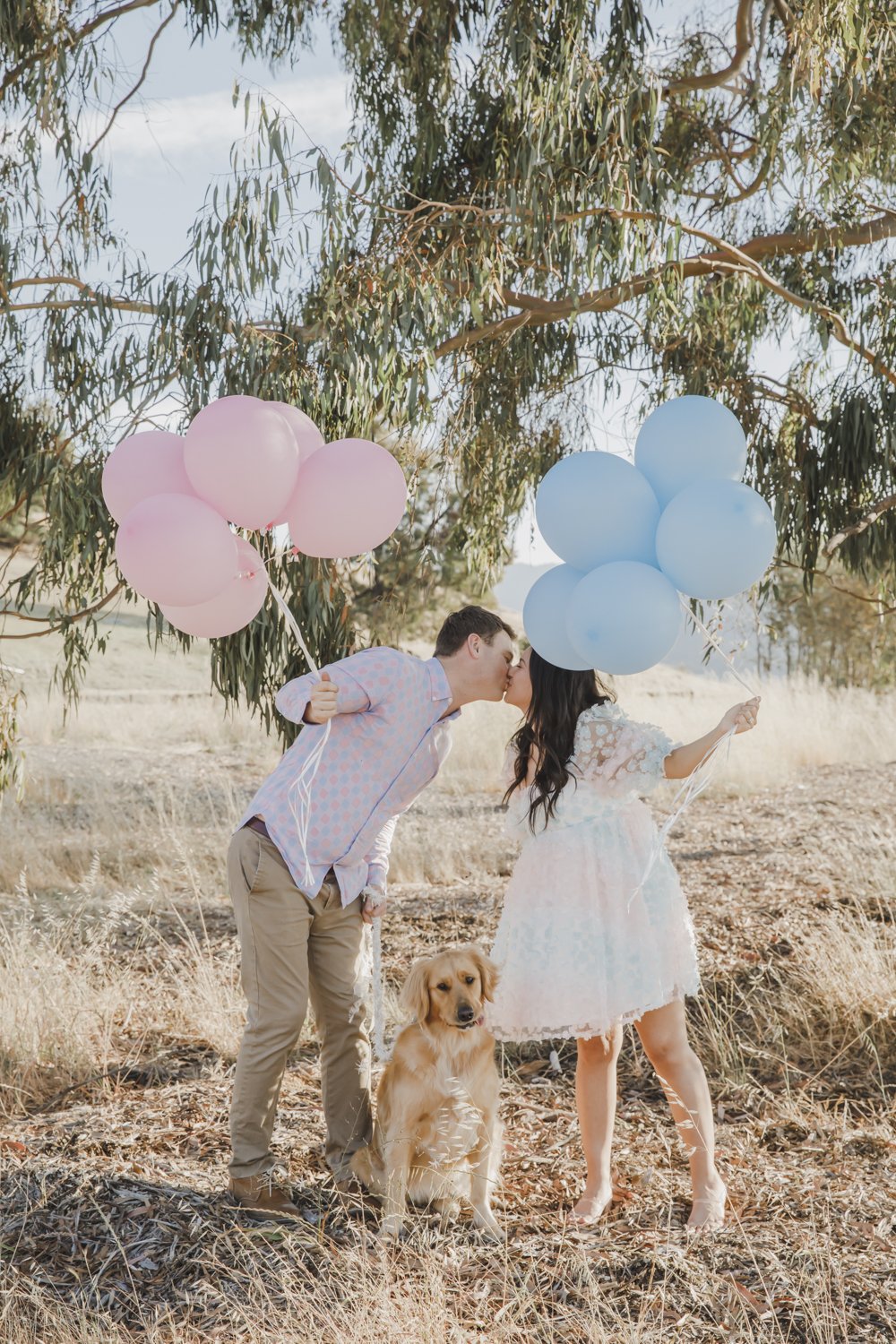 Baby Gender Reveal With Balloons &amp; Adorable Golden Retriever  