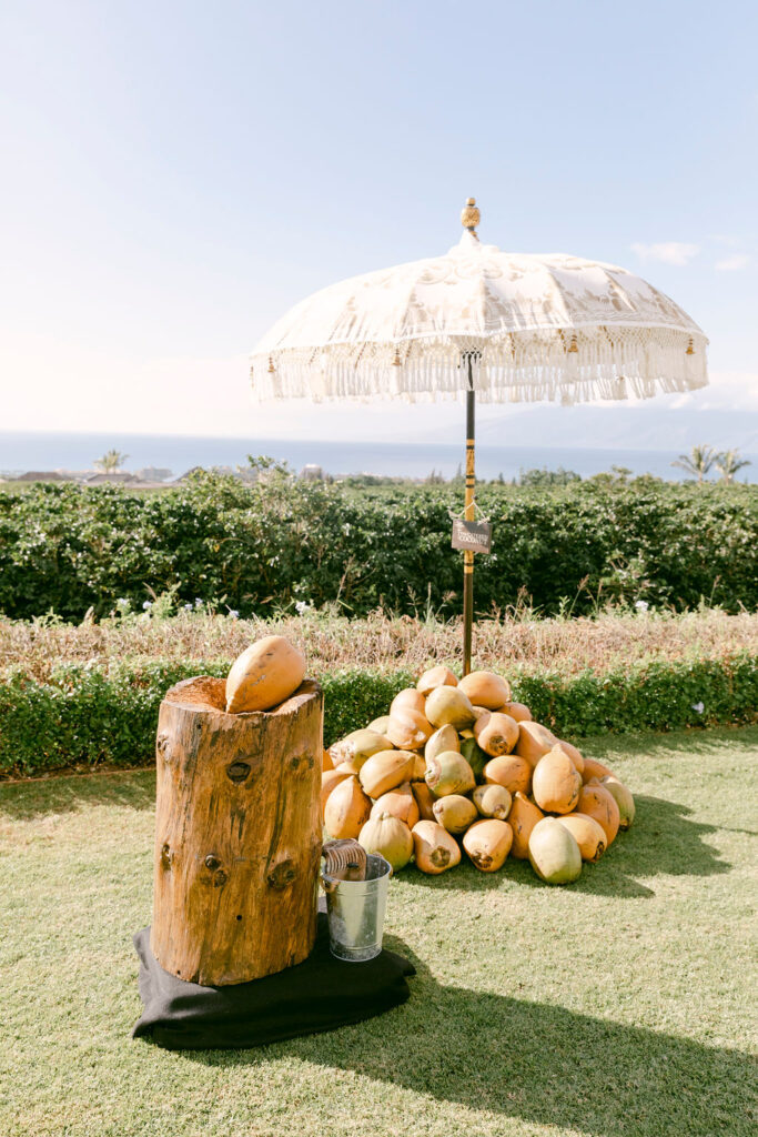 outdoor hawaiian wedding ceremony 