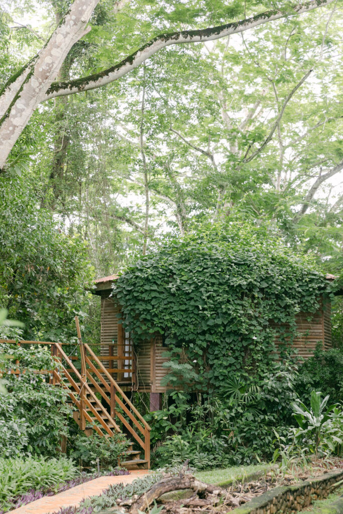 Intimate Tropical Wedding in Belize